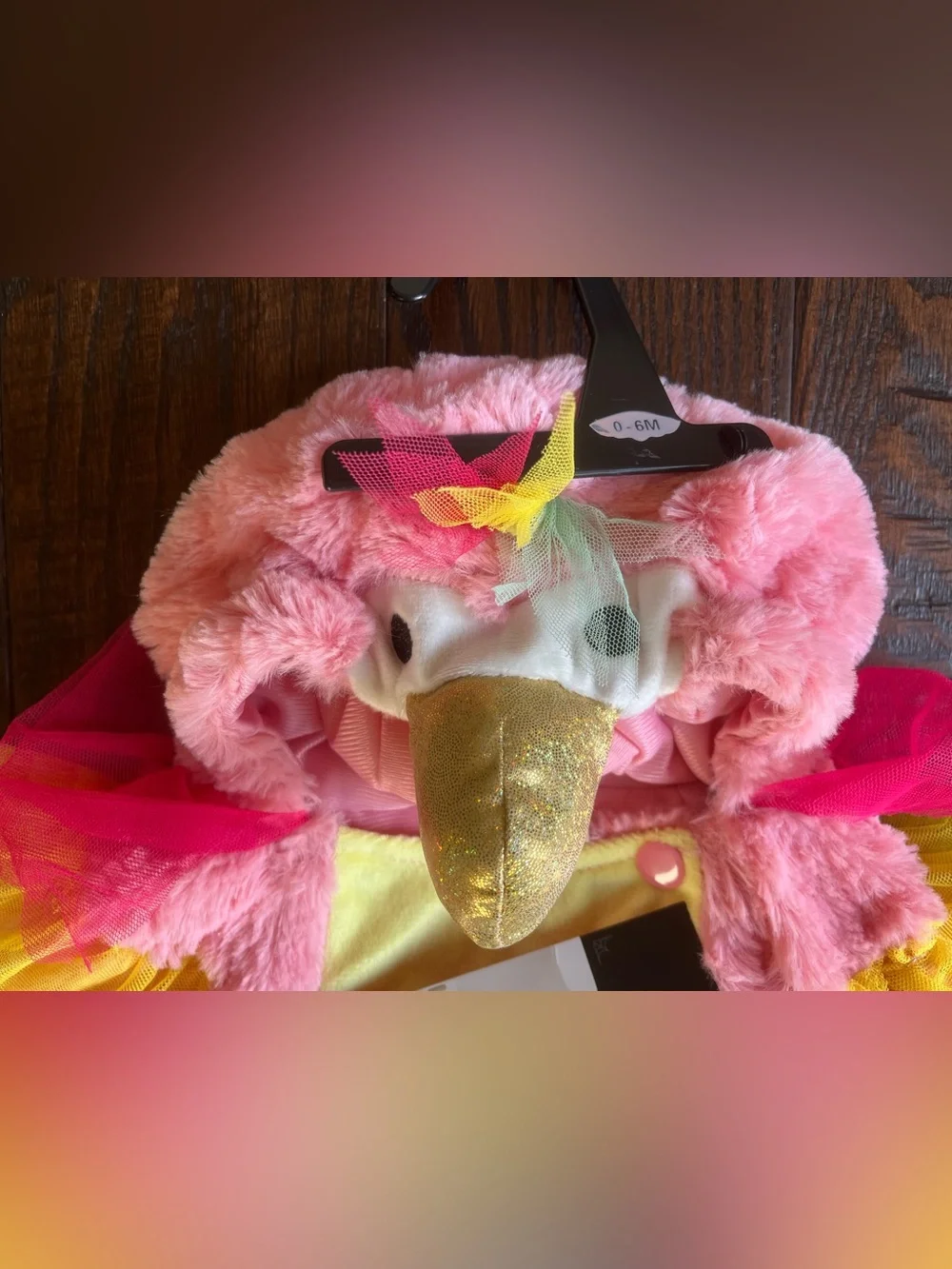 Halloween Costume Infant Parrot